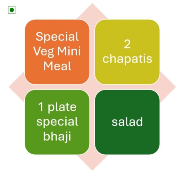 Special Veg Mini Meal